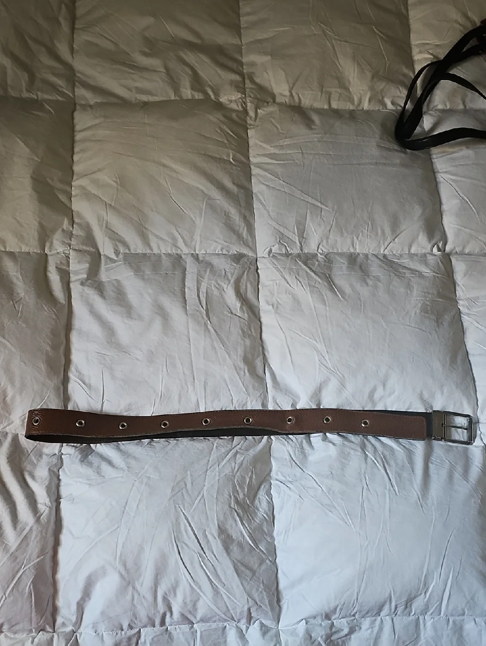 Belt By Burberry Brown Leather with Silver Hardware - Picture 3 of 5